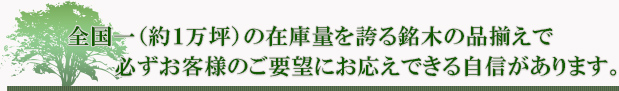 全国一（約1万坪）の在庫量を誇る銘木の品揃えで必ずお客様のご要望にお応えできる自信があります。